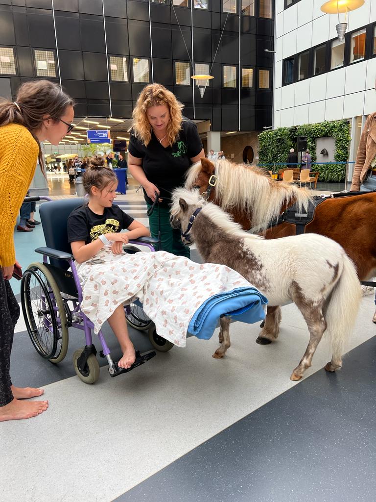 Voorzieningen en activiteiten