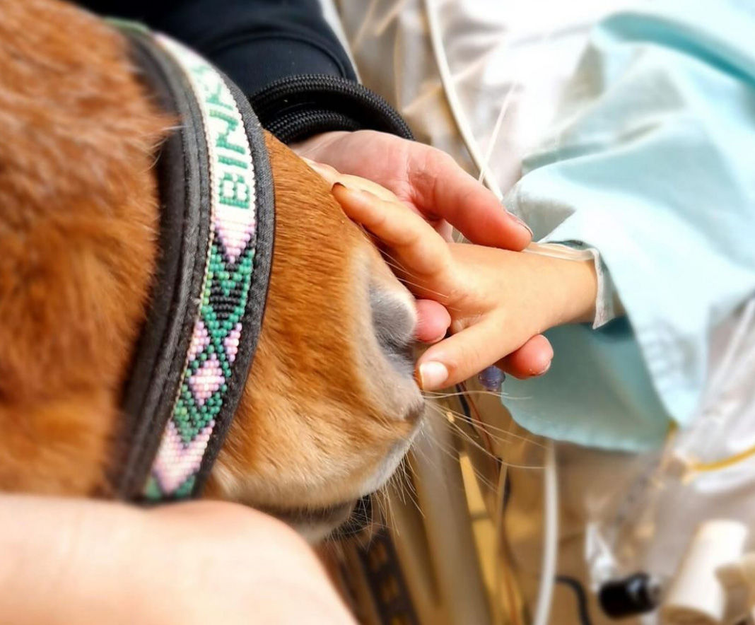 Naamloos-1 Naamloos-1